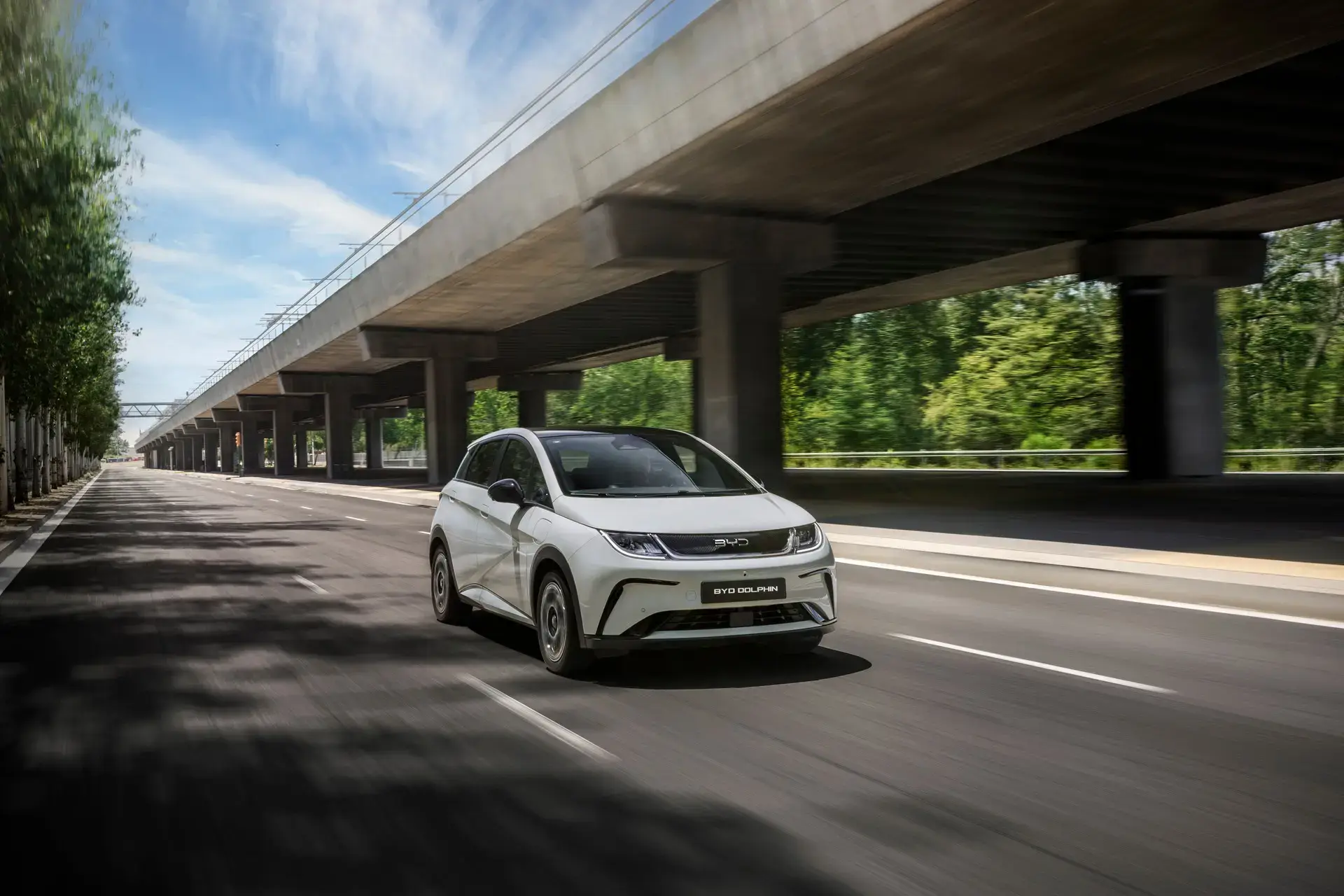 BYD Dolphin Comfort 14