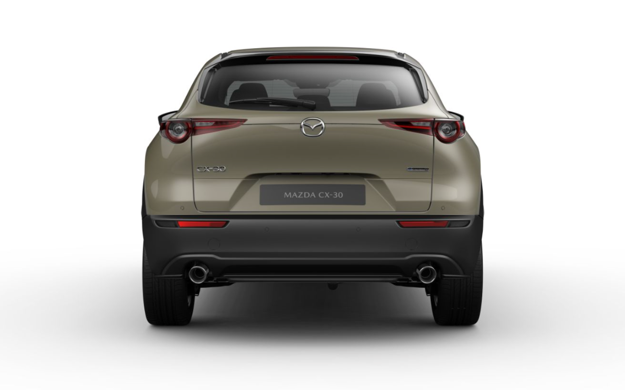 Mazda CX‑30 e-Skyactiv X 186 Takumi 5