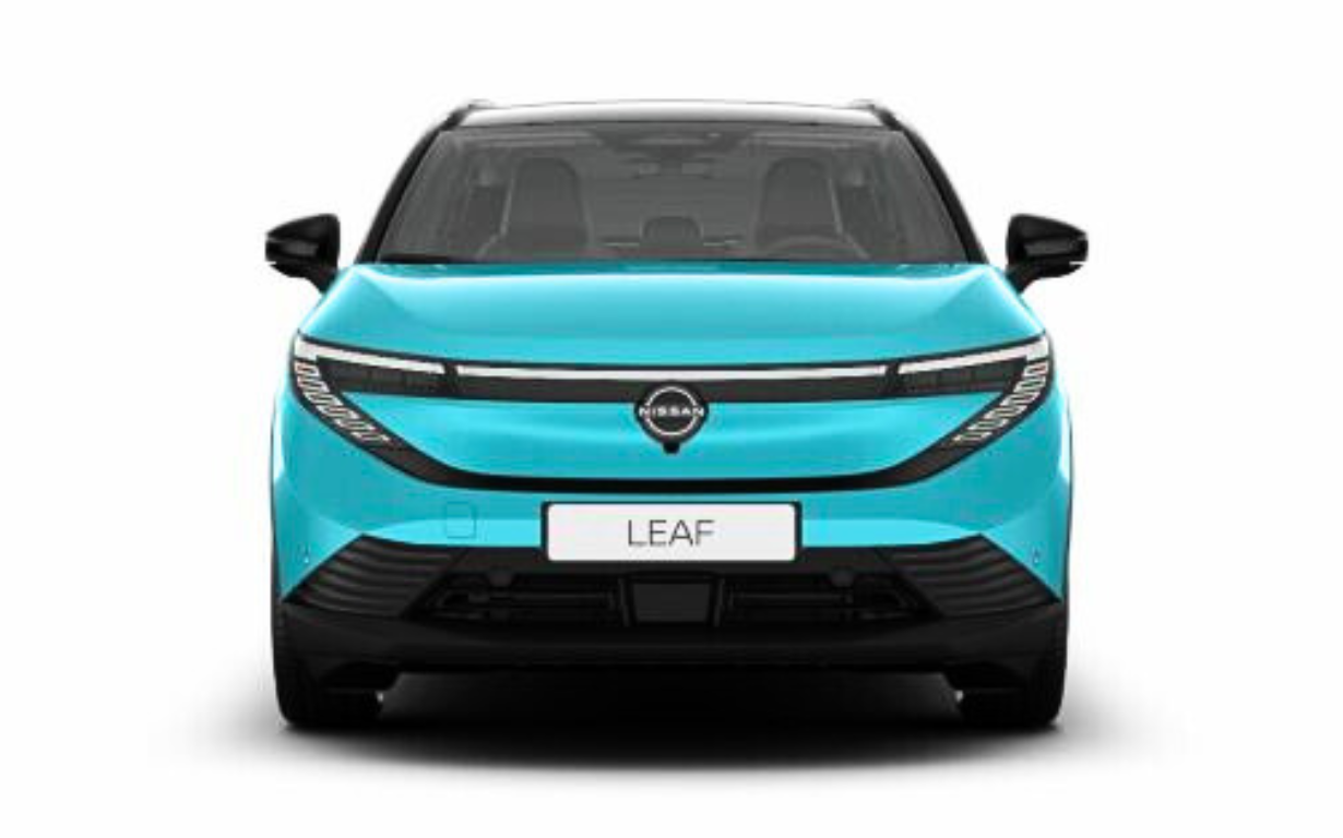 Nissan LEAF Advance Lang 4