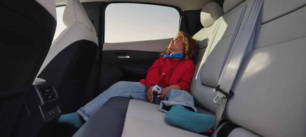 Nissan LEAF Evolve Lang 7