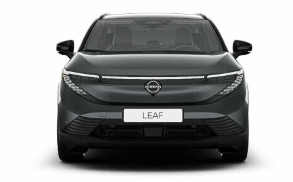 Nissan LEAF Evolve Lang 4