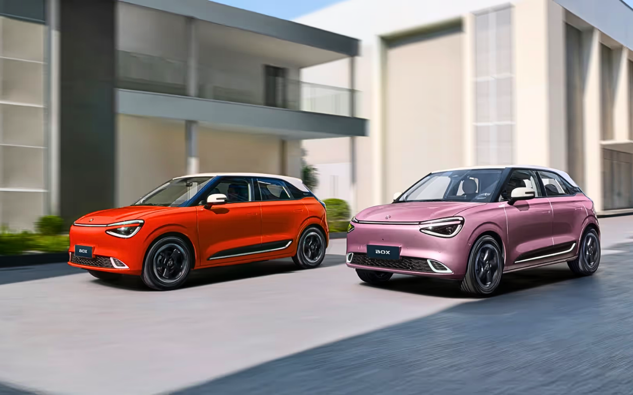 Dongfeng BOX Long Range 8