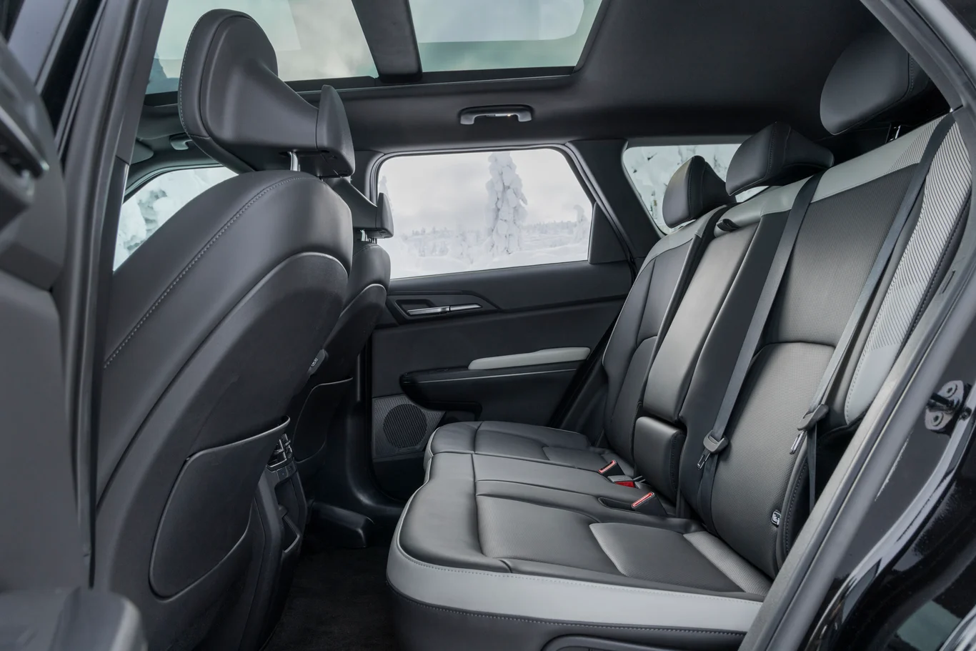 Kia EV5 GT Line Edition 7