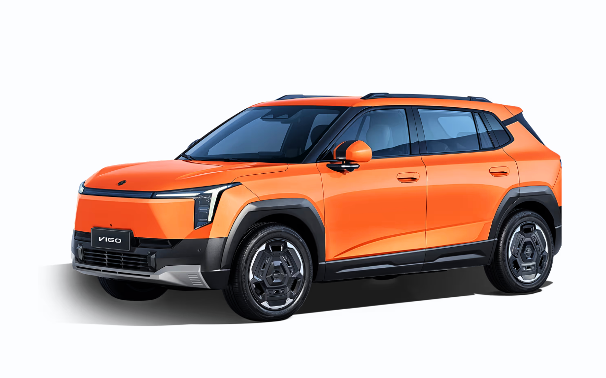 Dongfeng Vigo Signature 1