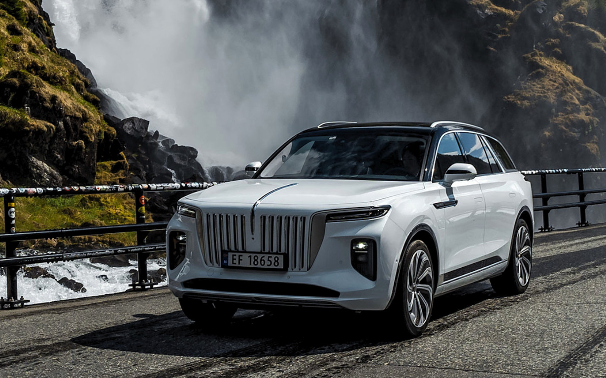 HONGQI E-HS9 Exclusive+ 5