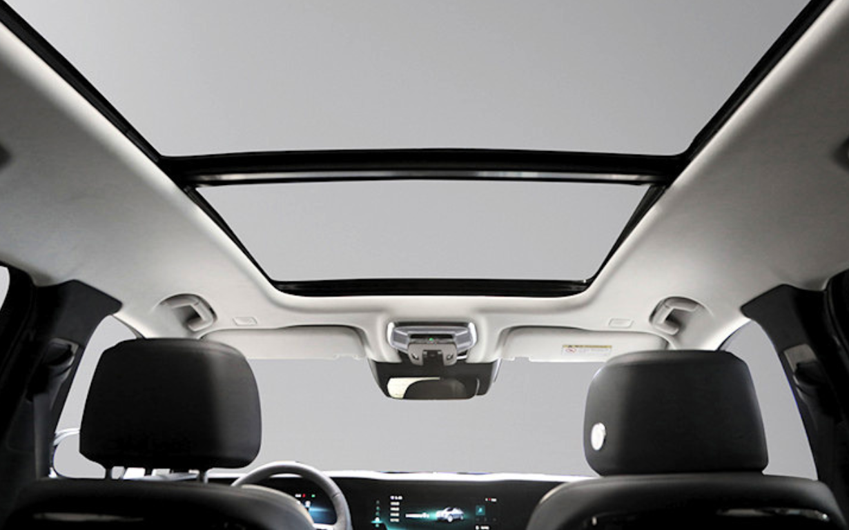HONGQI E-HS9 Exclusive+ 16