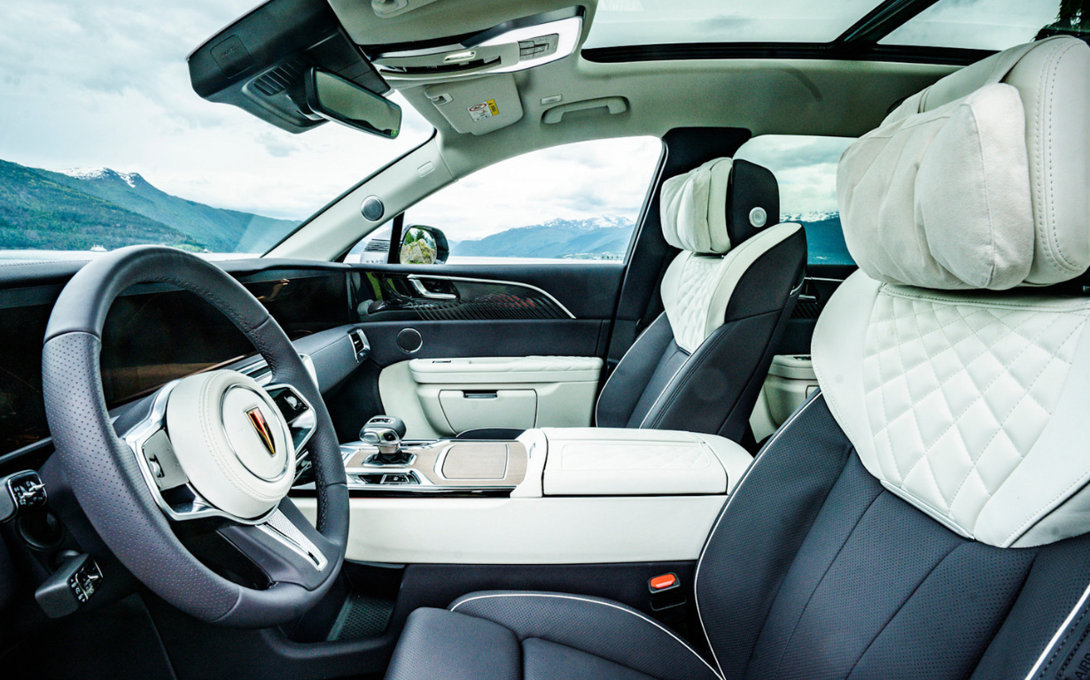 HONGQI E-HS9 Exclusive+ 12