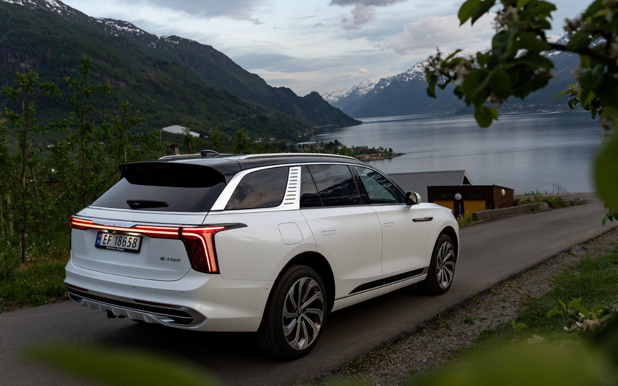 HONGQI E-HS9 Exclusive+ 3