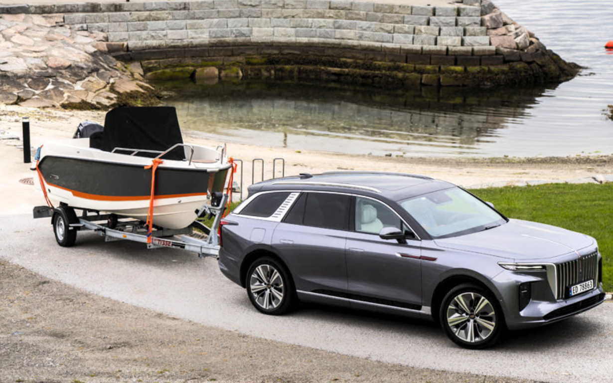 HONGQI E-HS9 Exclusive+ 6