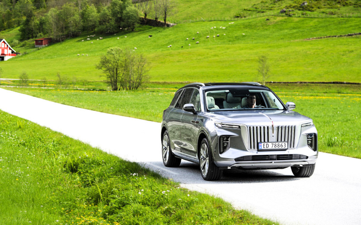HONGQI E-HS9 Exclusive+ 8