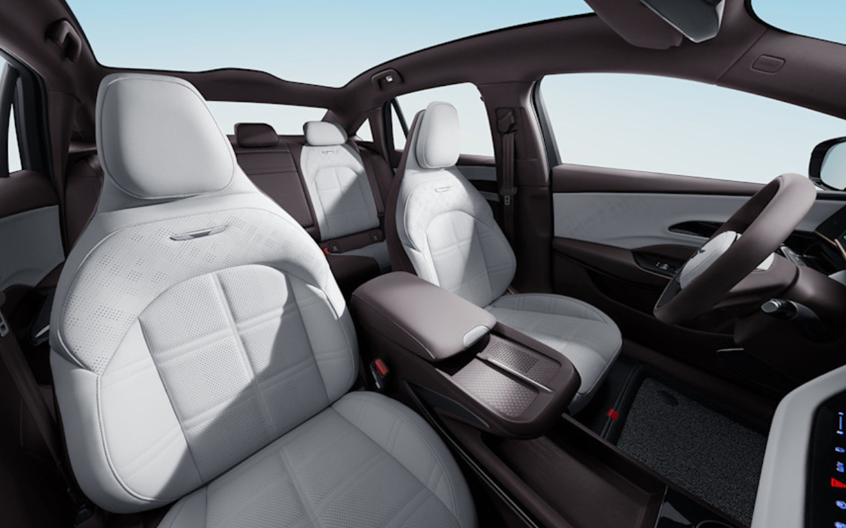 HONGQI EH7 Exclusive 6