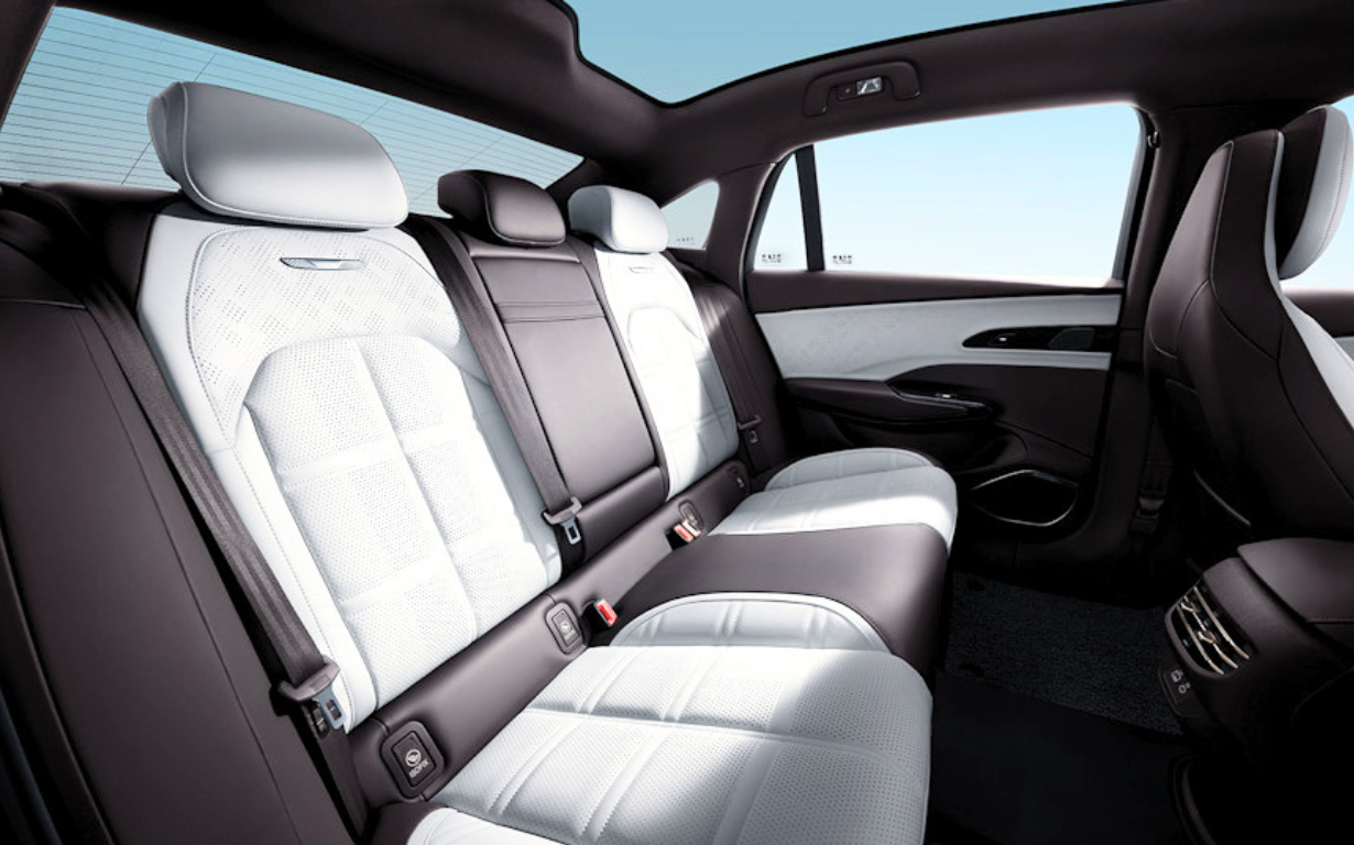 HONGQI EH7 Exclusive 8