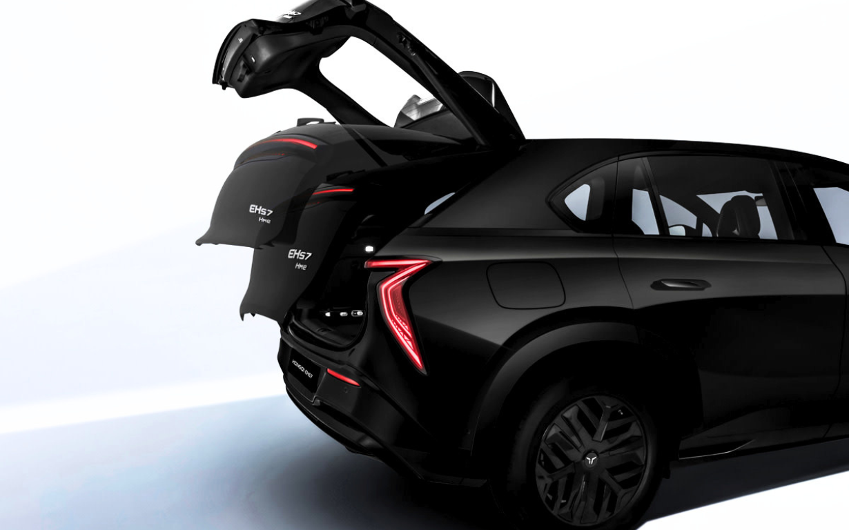 HONGQI EHS7 Exclusive 14