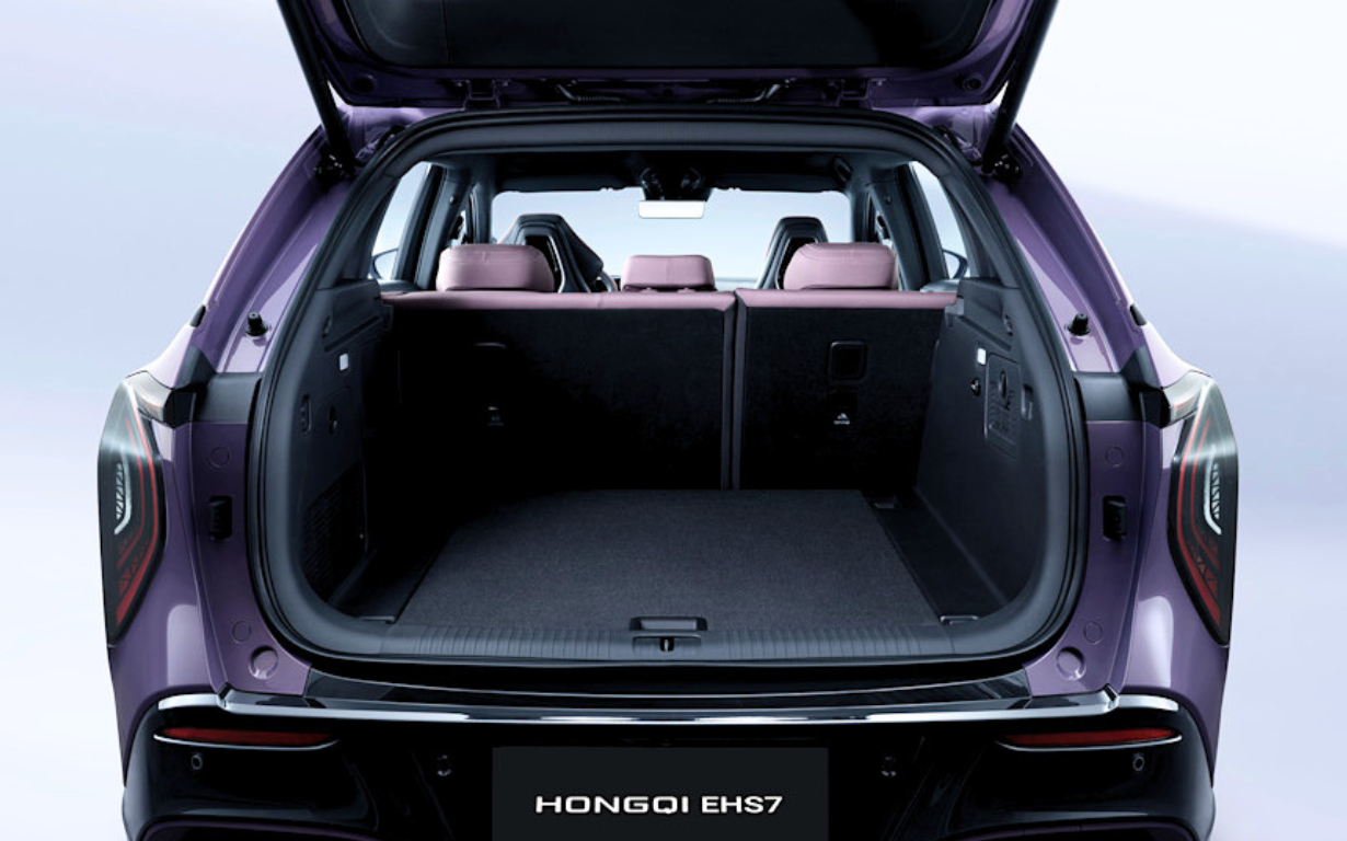 HONGQI EHS7 Exclusive 12